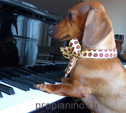 Обучение игре на пианино